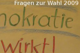 Demokratiefragen 2009