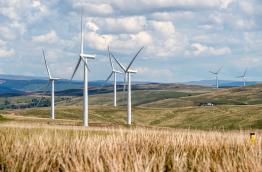 Windpark (c) EdWhiteImages